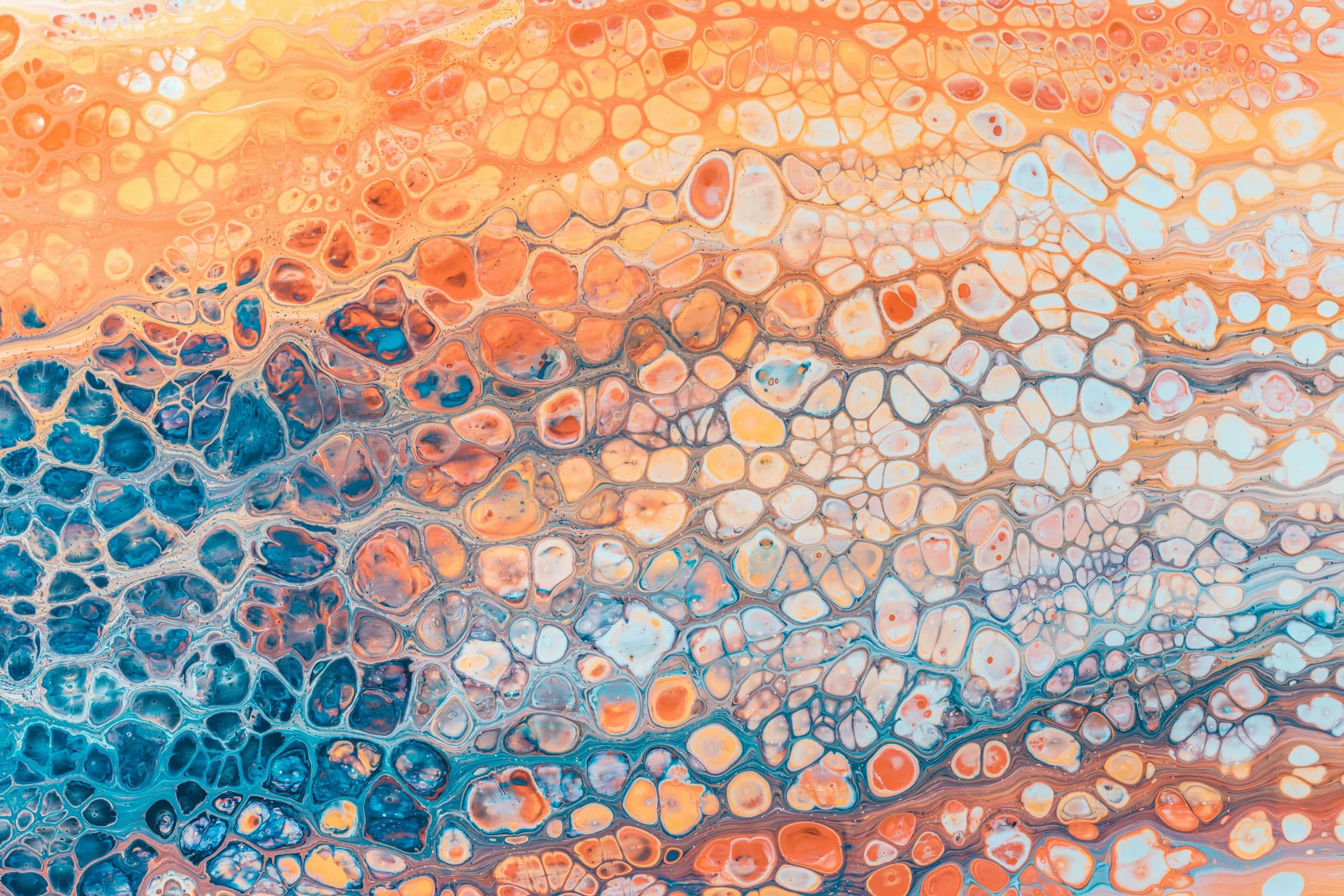 Cellular structures in orange and blue paint